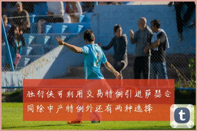 独行侠可利用交易特例引进萨瑟合同除中产特例外还有两种选择