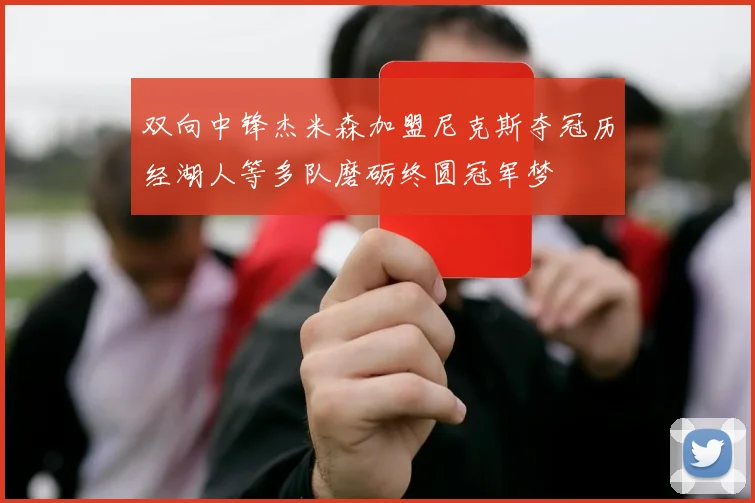双向中锋杰米森加盟尼克斯夺冠历经湖人等多队磨砺终圆冠军梦